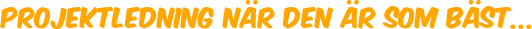 Projektledning när den är som bäst...